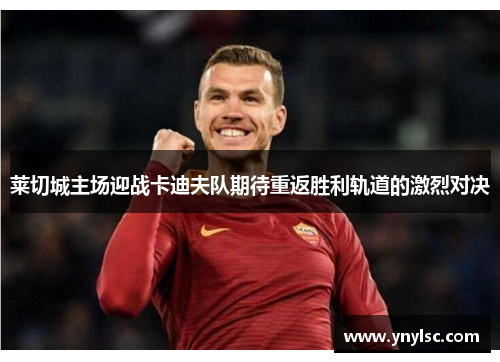 莱切城主场迎战卡迪夫队期待重返胜利轨道的激烈对决