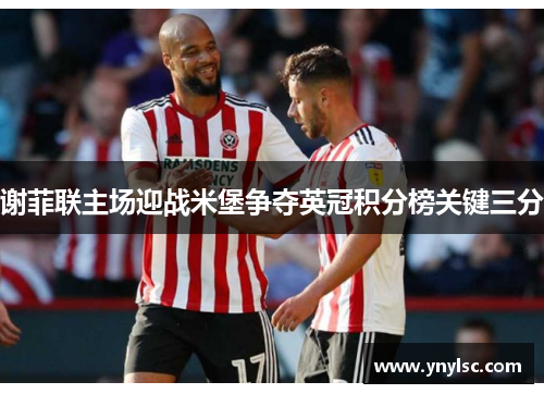 谢菲联主场迎战米堡争夺英冠积分榜关键三分