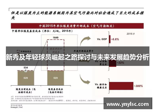 新秀及年轻球员崛起之路探讨与未来发展趋势分析