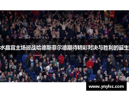 水晶宫主场迎战哈德斯菲尔德期待精彩对决与胜利的诞生